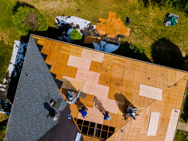 Best Roof Maintenance Services  in Mapleton, IA