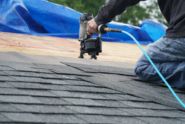 Best Commercial Roof Installation  in Mapleton, IA