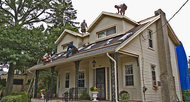 Best Roof Repair Services  in Mapleton, IA