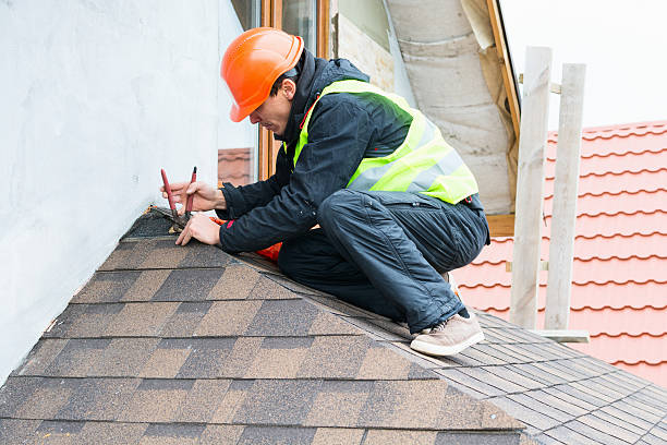 Best Flat Roof Repair Services  in Mapleton, IA