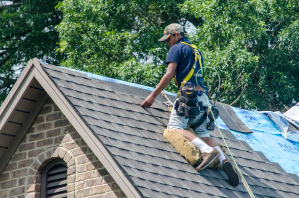 Best Storm Damage Roof Repair  in Mapleton, IA